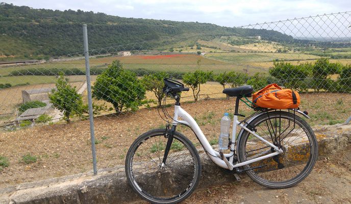 Photo 1 of the Bikemap route "Mallorca: Manacor-Petra-Manacor per sa Vall"