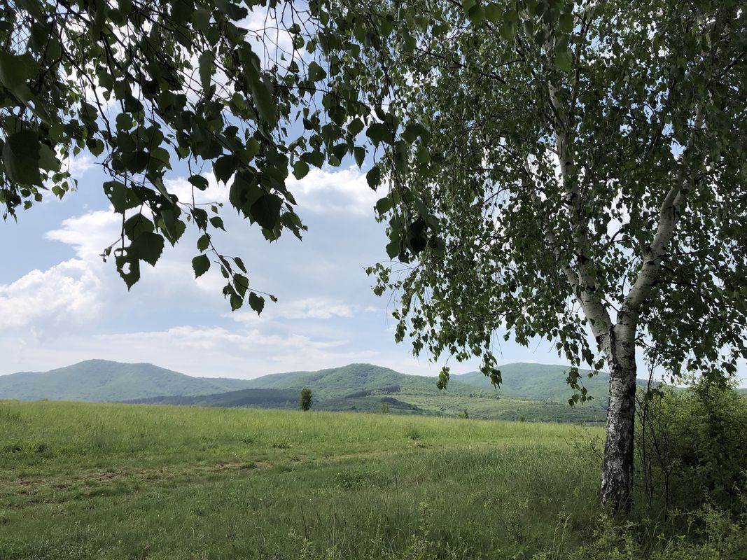 алеа на здравето