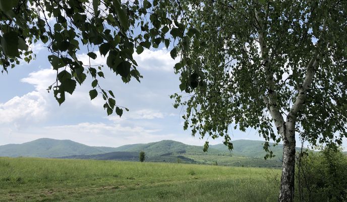 Foto 1 der Bikemap-Route "алеа на здравето"
