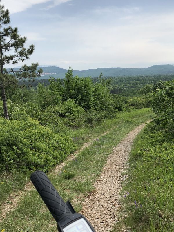 Basovizza monte dei pini