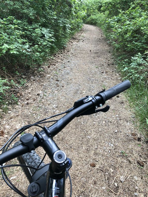 Basovizza monte dei pini