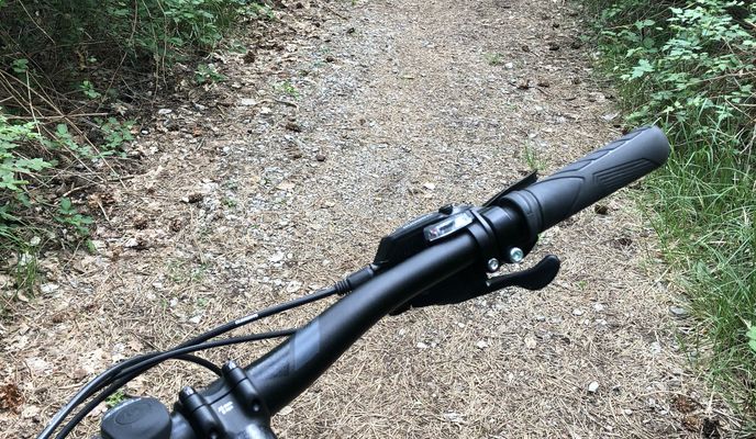 Photo 2 of the Bikemap route "Basovizza monte dei pini"