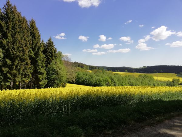 Foto 1: Volker Wild