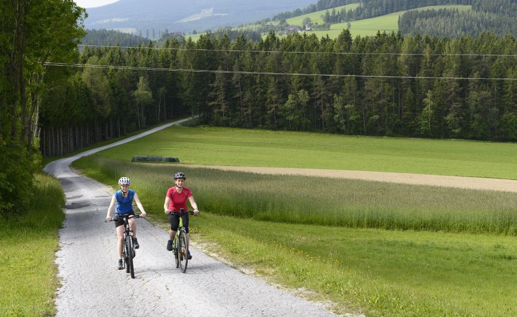 Bergstrecke in St. Jakob im Walde
