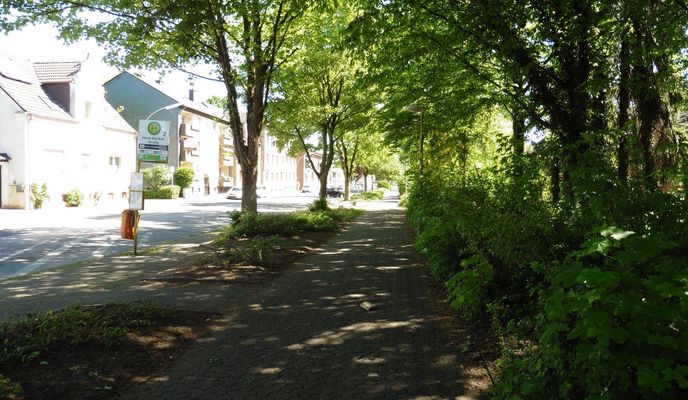 Foto 1 der Bikemap-Route "0CR03 : SchlBla - Horneb - SchlDat - SchlHen - SchlBla"