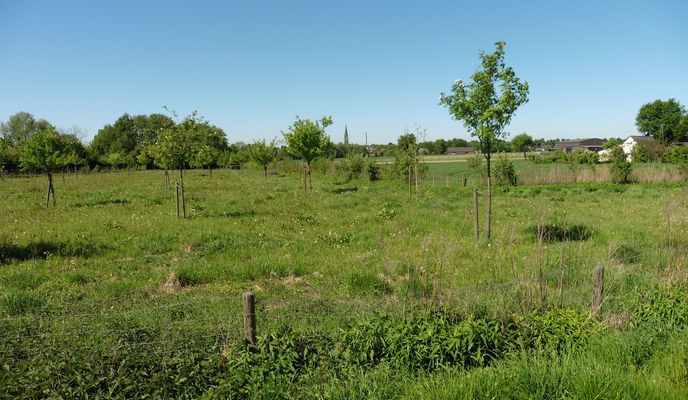 Foto 2 der Bikemap-Route "0CR03 : SchlBla - Horneb - SchlDat - SchlHen - SchlBla"