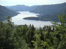 Skorve rundt