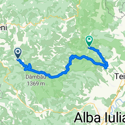 Ziua 3