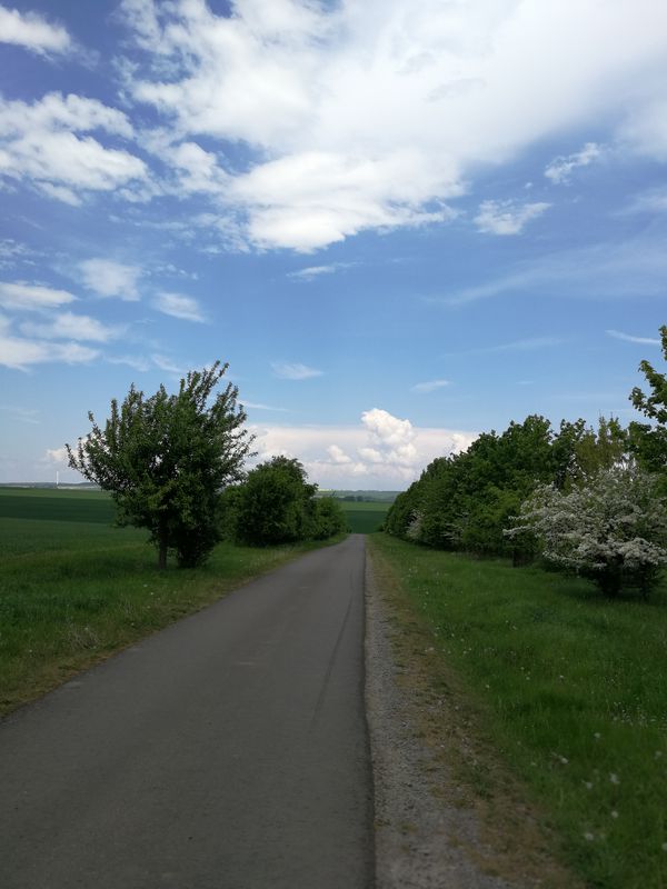 Vatertag 2018 Rücktur
