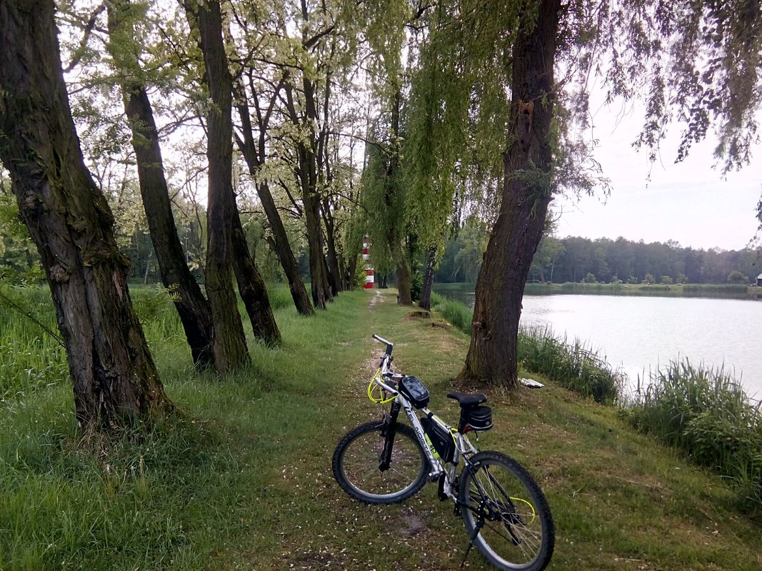 2018/11 Libiąż, Oświęcim WTR