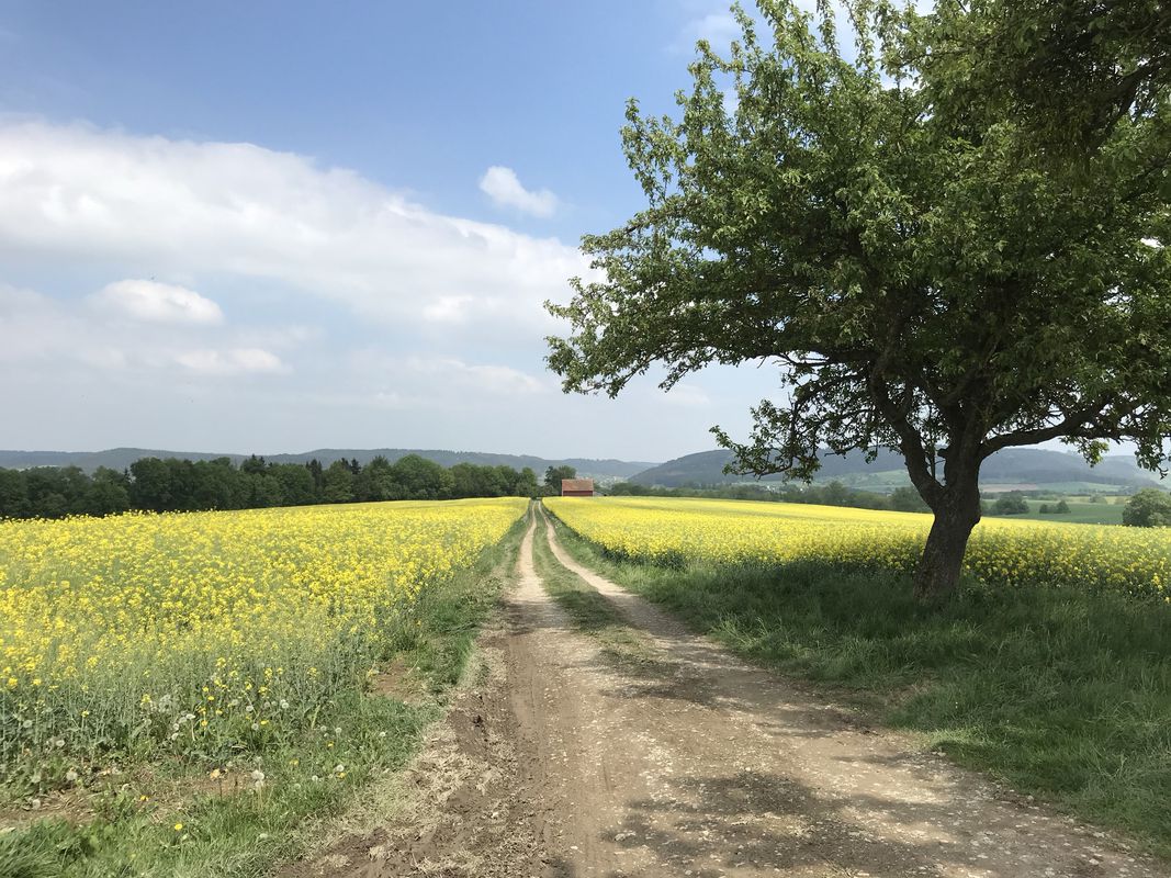 Vatertag Tour