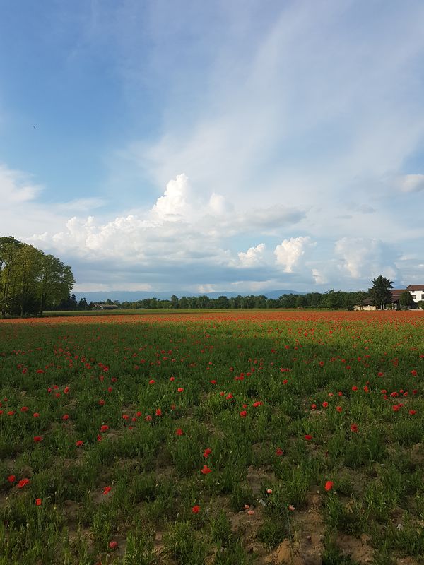 Pavia di Udine - Sagrado - Duino