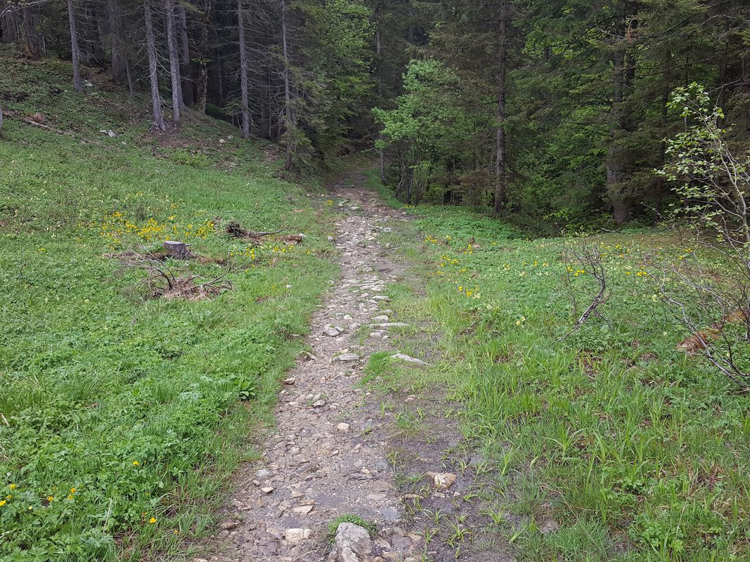 Bad Wiessee - Lengries - Glashütte - Scharling