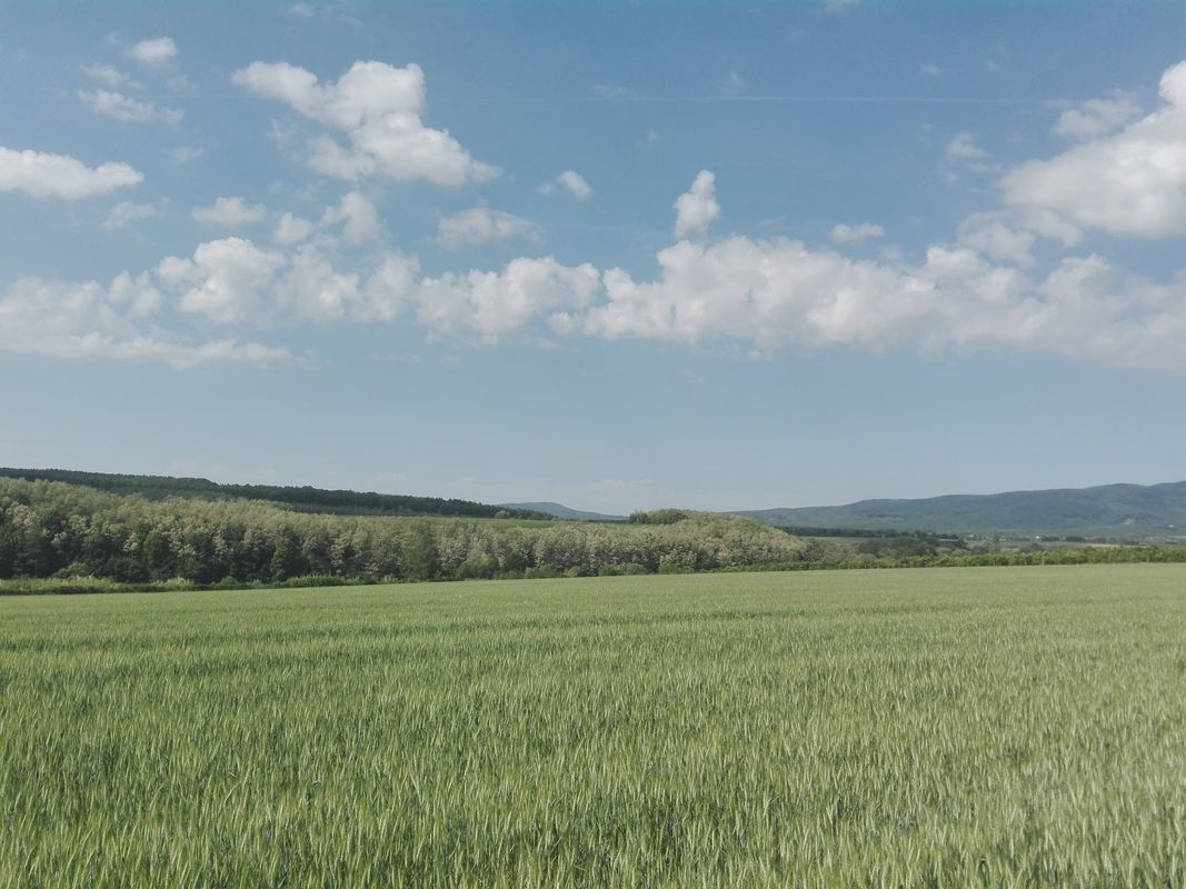 Bánk bringás vándor képzés