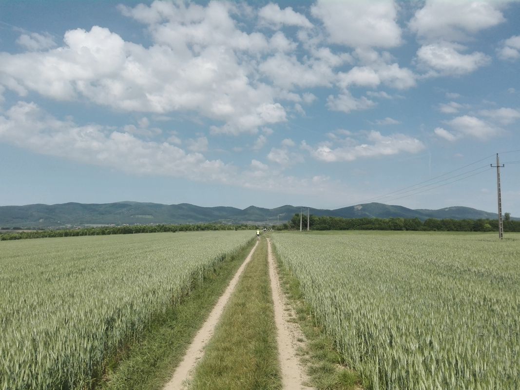 Bánk bringás vándor képzés