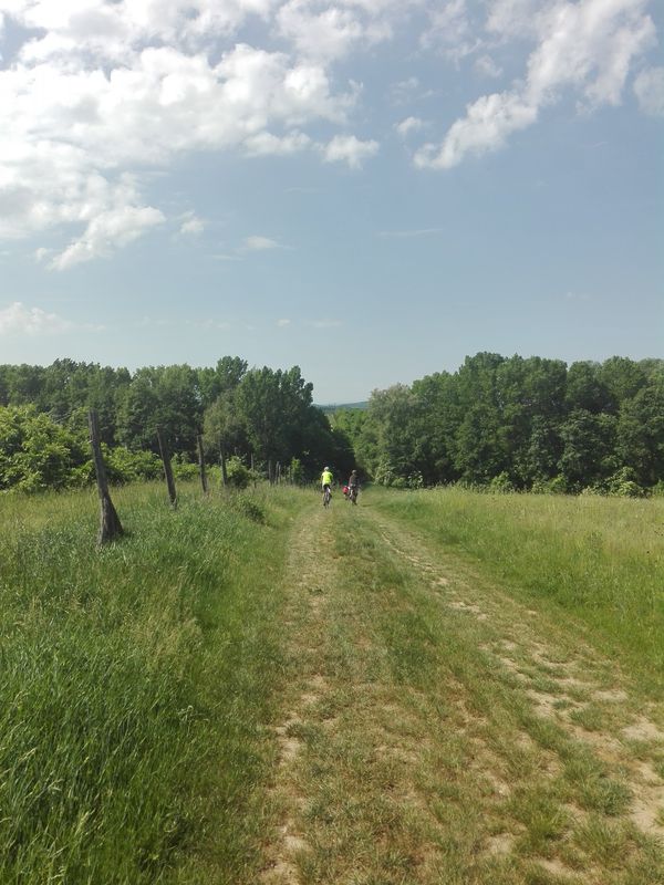 Bánk bringás vándor képzés