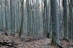 Point fort 2 sur l’itinéraire Bikemap « Stožiar » Point fort 2 sur l’itinéraire Bikemap « Stožiar »