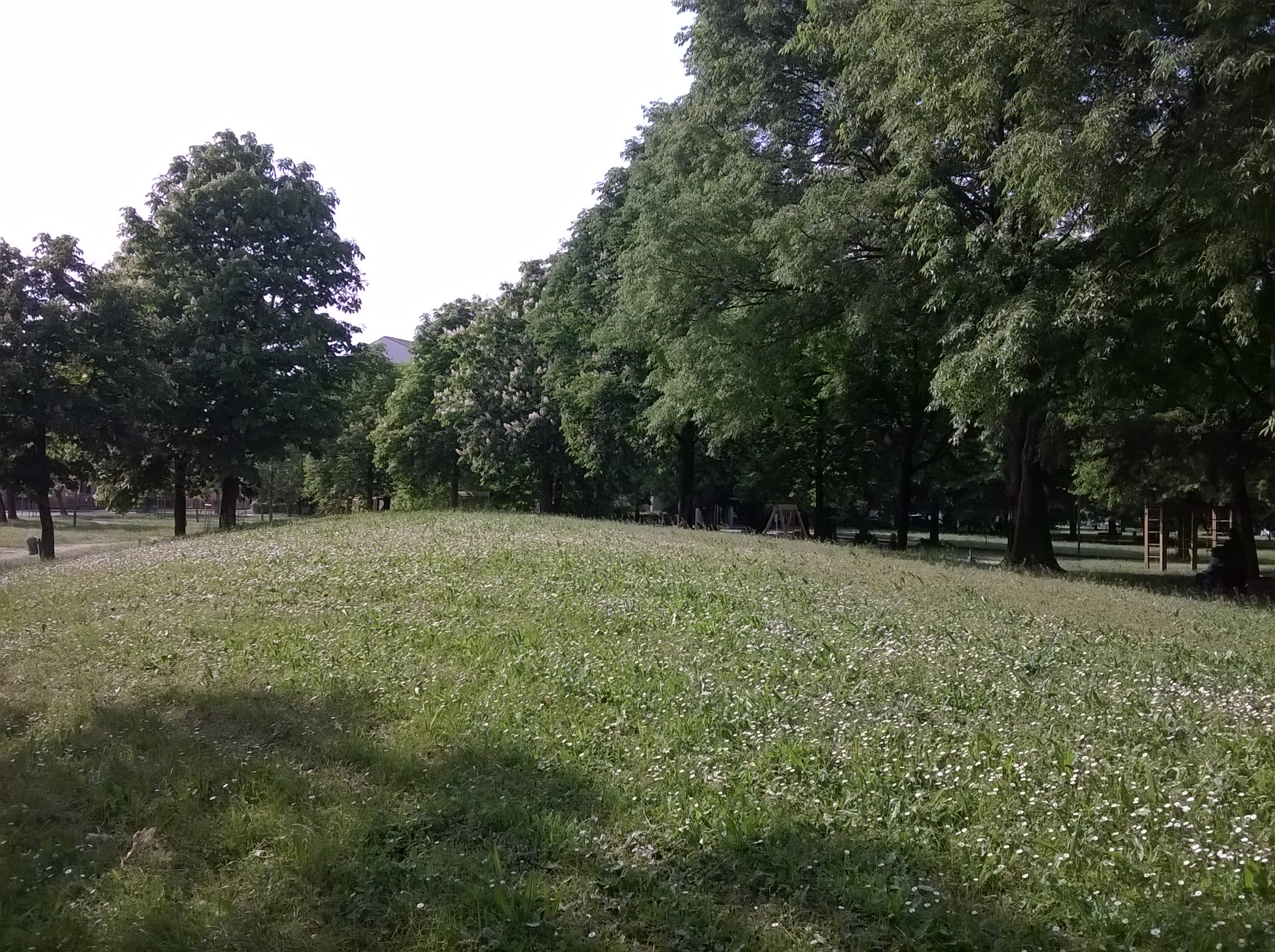 Hebe Bild 1 entlang der Bikemap-Route "Da San Pelajo a Fontane e altre aree picnic" hervor