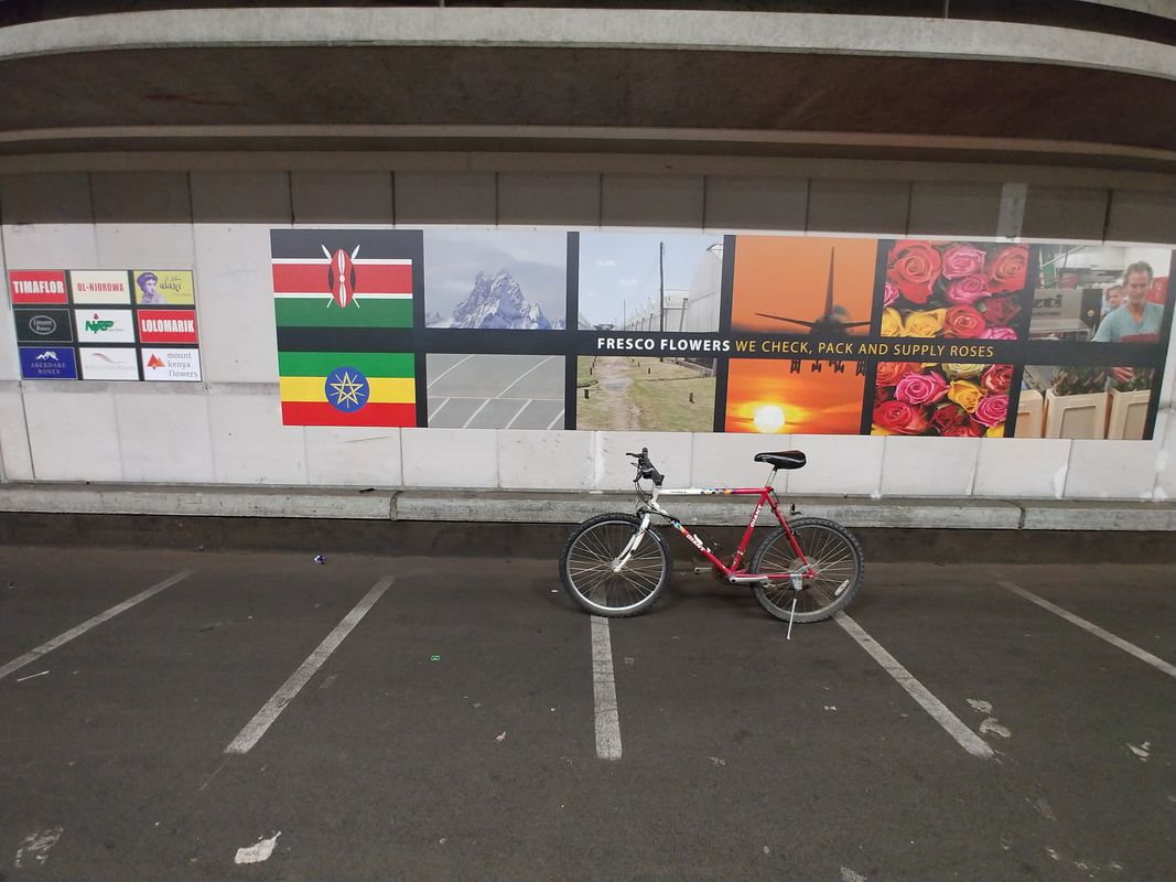 Royal Flora Holland - Fresco Flowers