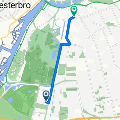 Snail-Like Evening Ride In København