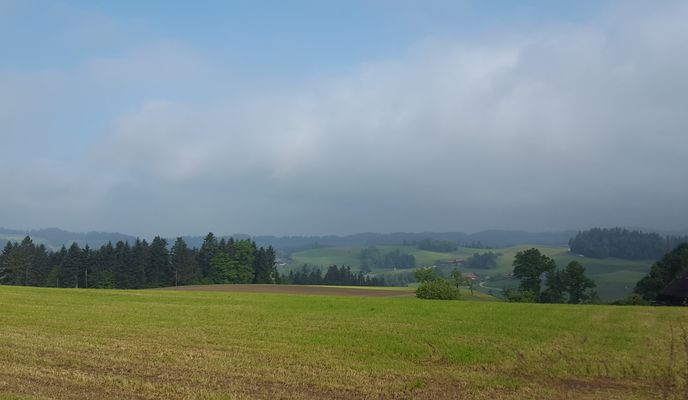 Foto 1 der Bikemap-Route "Morgentour Neuenegg"