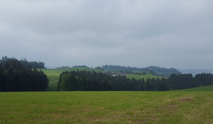 Foto 2 der Bikemap-Route "Morgentour Neuenegg"