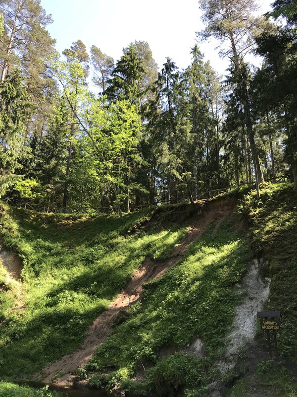 Extensive Saturday Ride In Anyksciai