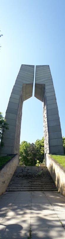 номер 6