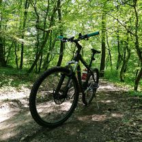 Miscare de dimineață