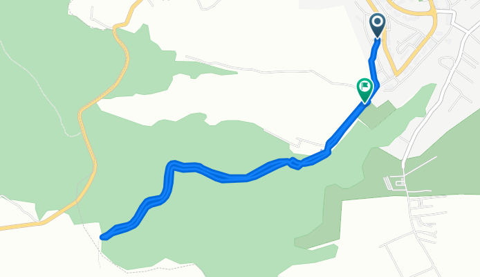 Miscare de dimineață