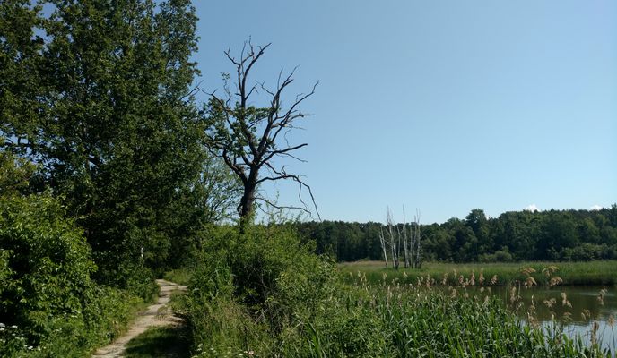 Photo 1 of the Bikemap route "Ósemka ;)"