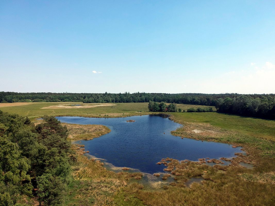Nationaal Park Dwingelderveld