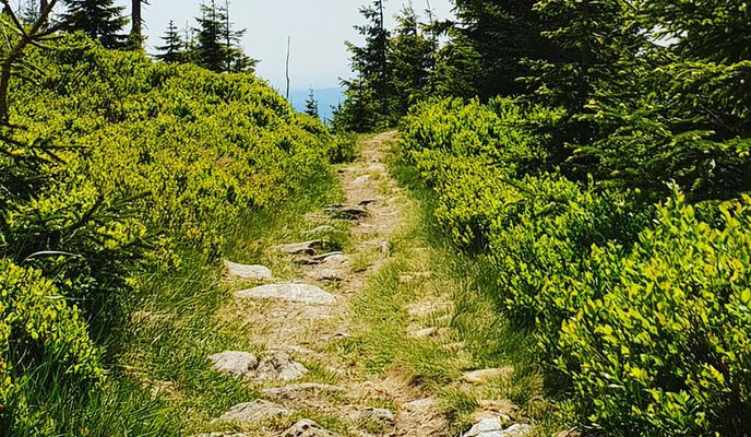 Photo 1 of the Bikemap route "Krkonošská pivní stezka 2018"