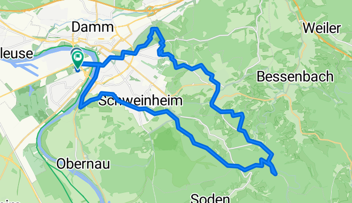 Stallions Runde