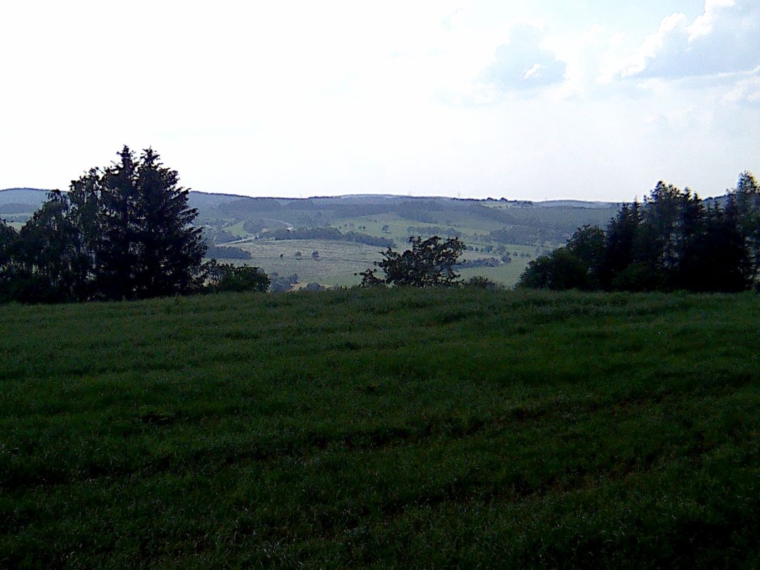Trainingslauf vom 28.05.