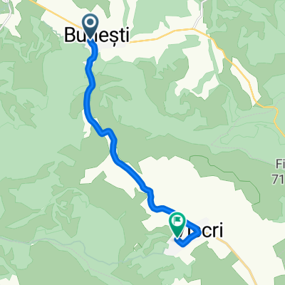 Bunesti-Viscri