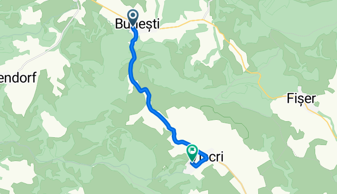 Bunesti-Viscri