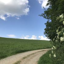 Photo 7 de l’itinéraire Bikemap « Extensive Freitag Track In Herznach »