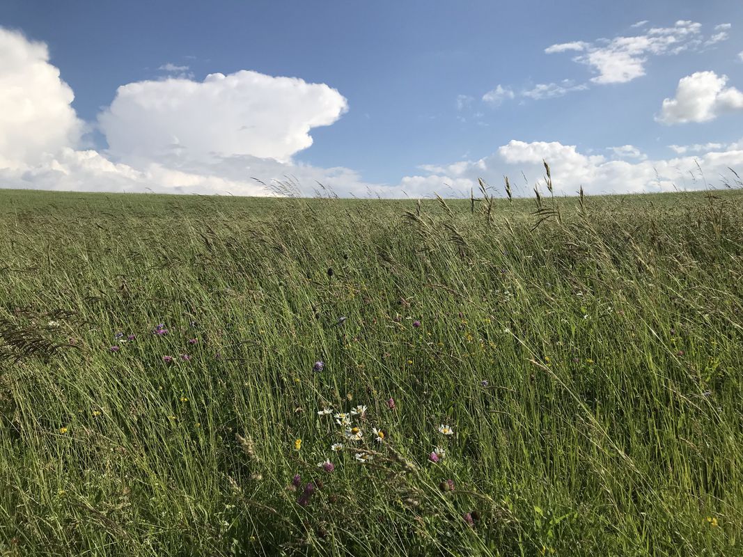 Extensive Freitag Track In Herznach