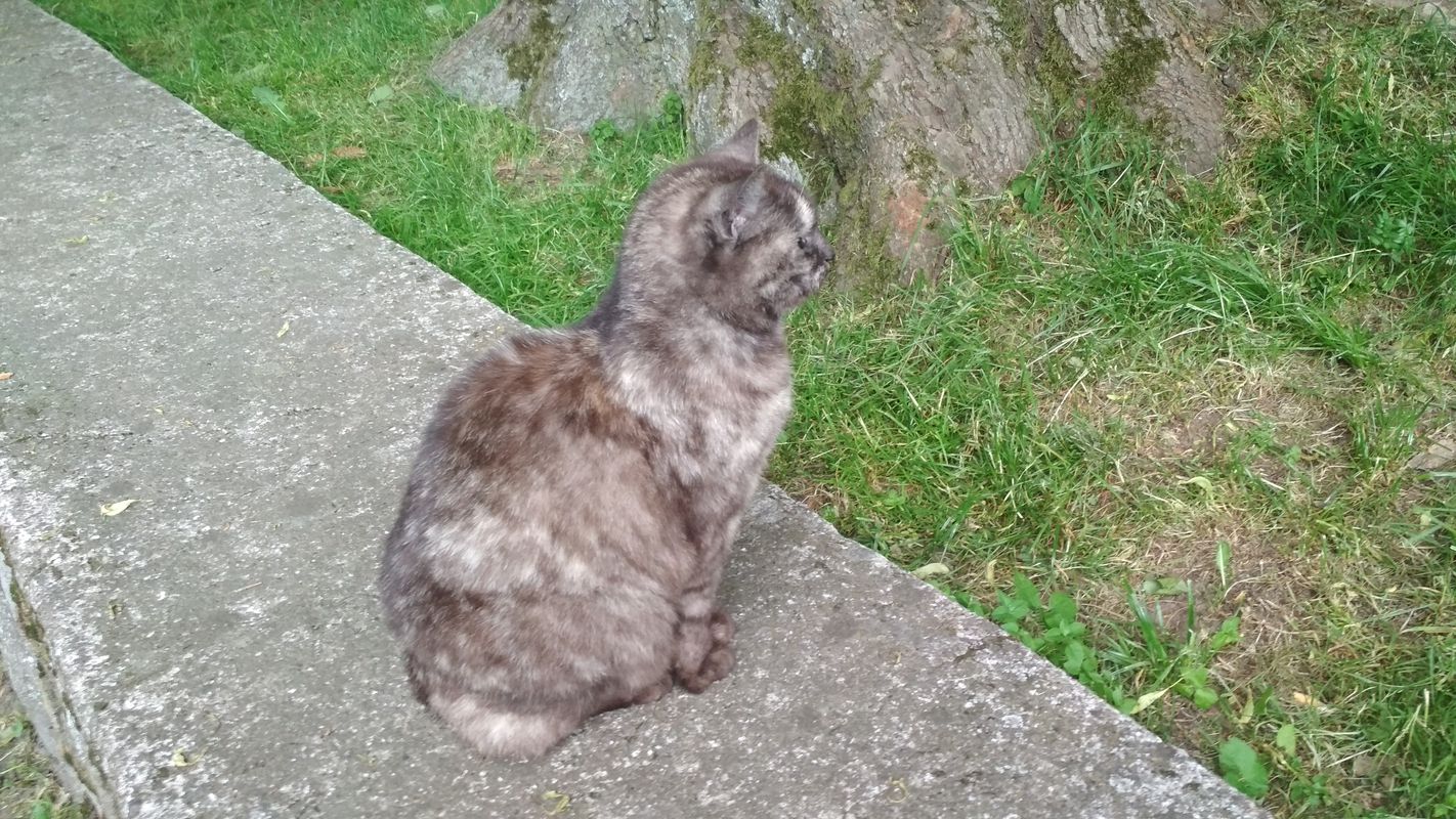 01.06.18 Lewin dzien 2
