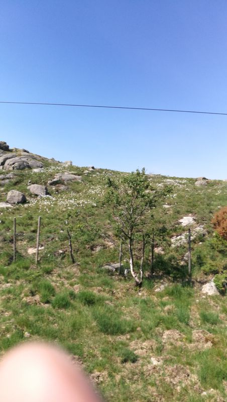 altiplano jæren