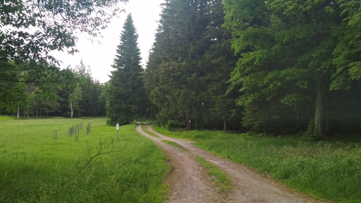 02.06.18 Lewin dzien 3
