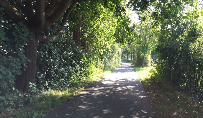 Foto 2 der Bikemap-Route "Herford - Detmold"