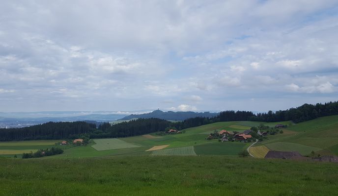 Foto 1 der Bikemap-Route "Mänziwilegg"