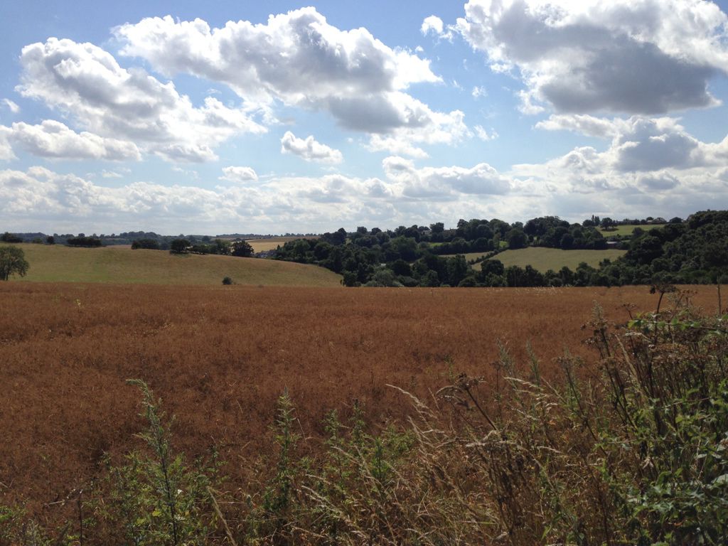 Wetherby (Collingham)  - Nord-Leeds