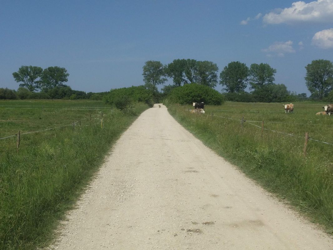 Zalipie - Niepołomice (AT)