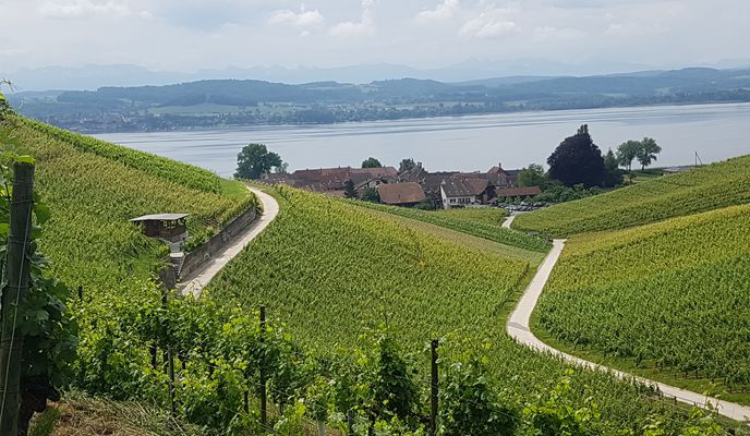 Foto 1 del percorso Bikemap "Murten Mont Vully Um den See"