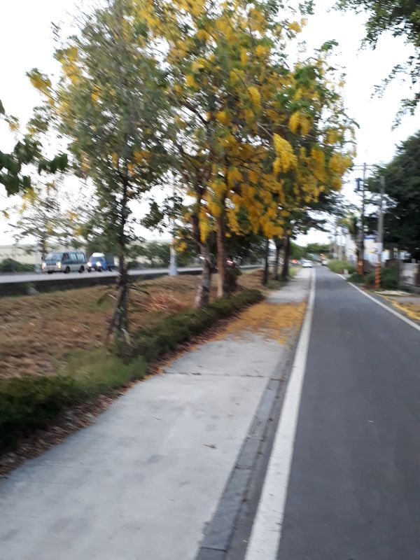 埤頭溪湖二林台糖鐵道