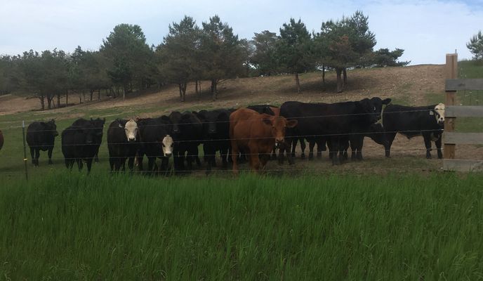 Photo 1 de l’itinéraire Bikemap « Hooker Ride » Photo 1 de l’itinéraire Bikemap « Hooker Ride »