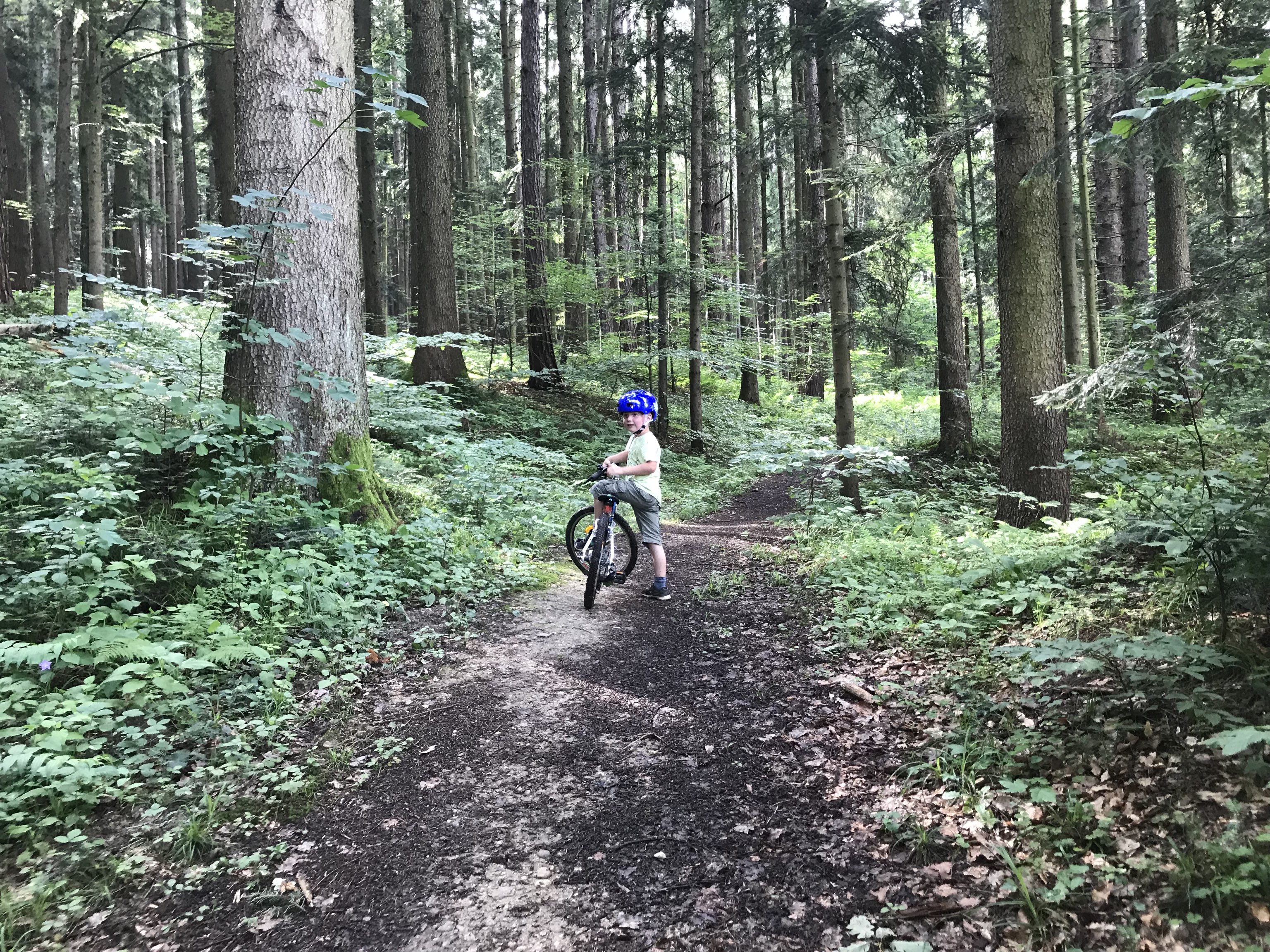 Moderate Samstag Track In Stattegg